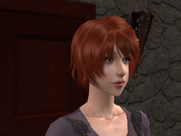snapshot_9a250dd9_c13d849a