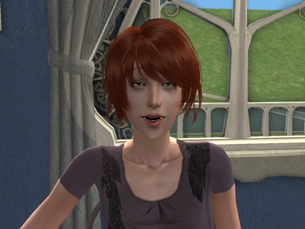 snapshot_9a250dd9_81debd33