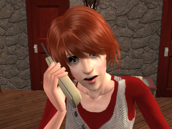 snapshot_9a250dd9_81e80cd8
