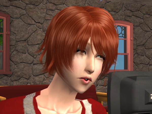snapshot_9a250dd9_21f62217