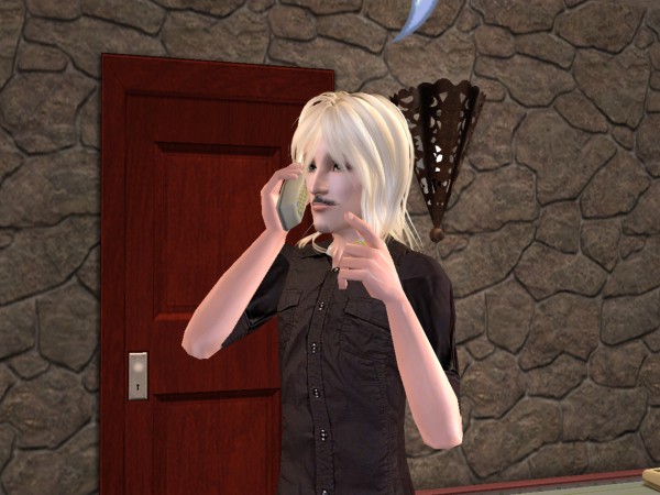 snapshot_9a250dd9_c2a0554a