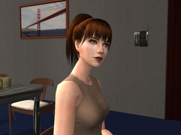 snapshot_9a250dd9_a2b95893