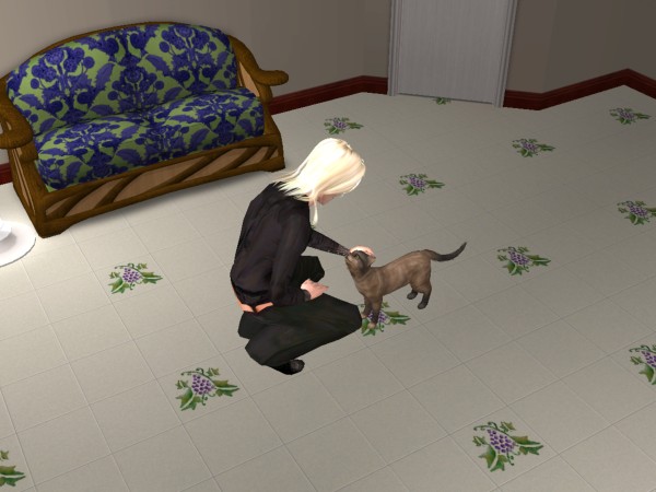 snapshot_9a519d2c_de9a8be3