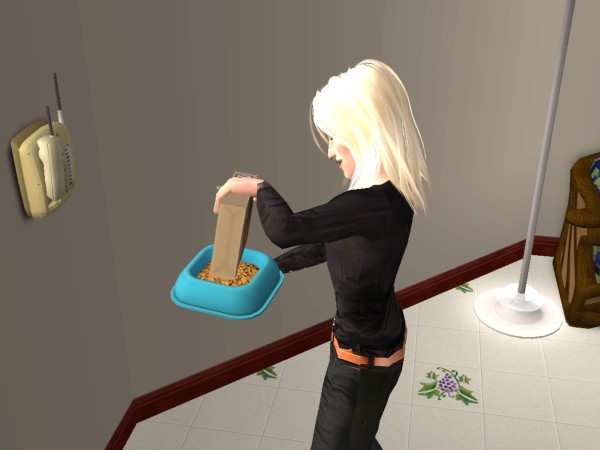 snapshot_9a519d2c_1e9a8eaf