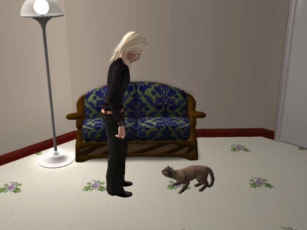 snapshot_9a519d2c_7e9a9062