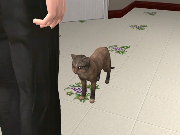 snapshot_9a519d2c_5e9a9154