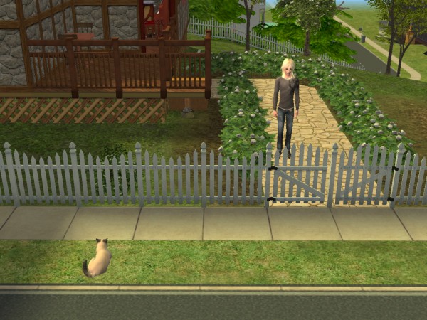 snapshot_9a250dd9_bebf9223