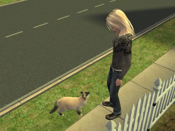snapshot_9a250dd9_febf9ab5
