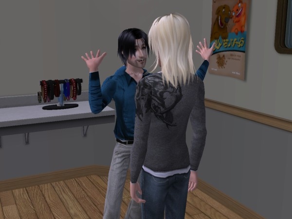 snapshot_9a250dd9_bee7407a