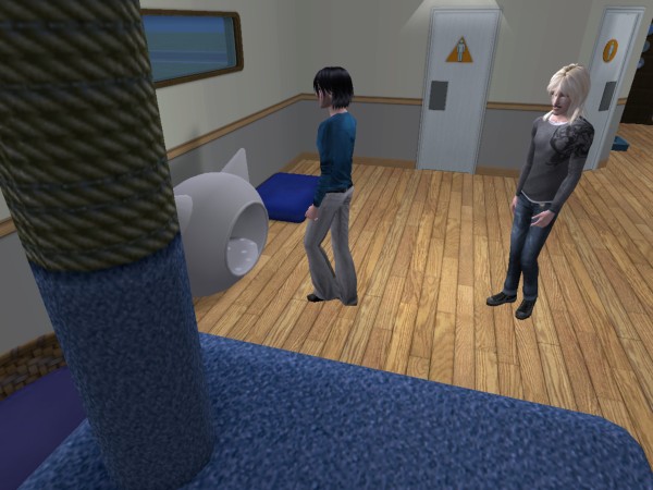 snapshot_9a250dd9_3eeb2caa