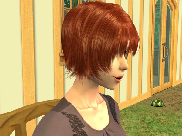 snapshot_9a250dd9_1ef078ec