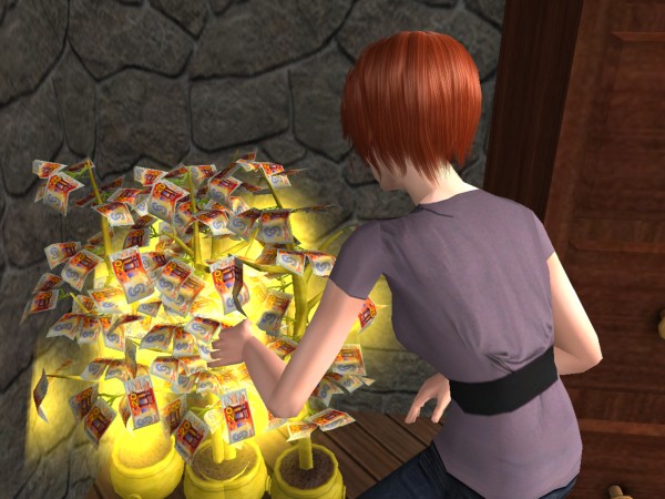 snapshot_9a250dd9_df44b736