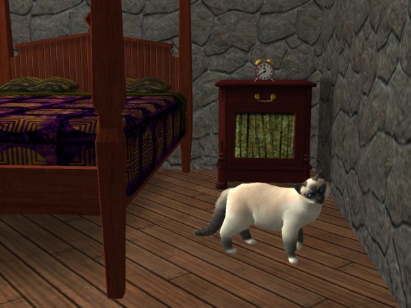 snapshot_9a250dd9_bf44bb68