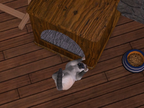 snapshot_9a250dd9_feeb34c0