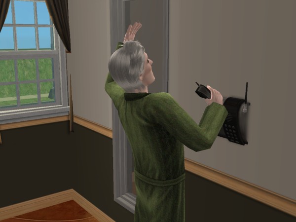 snapshot_bf2fa70d_a0d46a2f