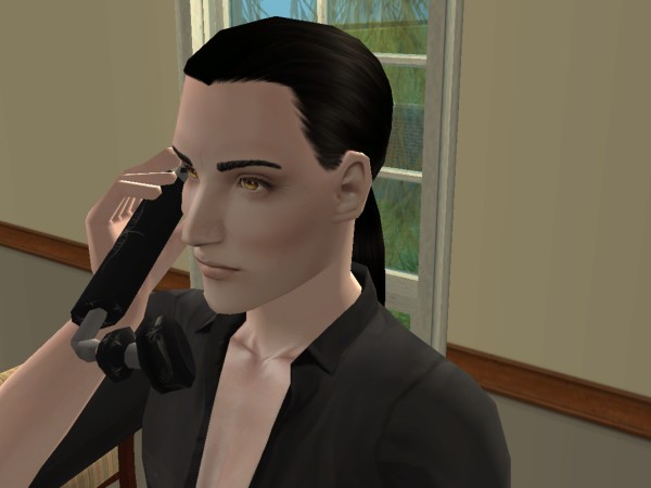 snapshot_80c0a134_00e83477