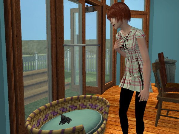 snapshot_da35fd93_5d74cc9a
