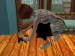 snapshot_da35fd93_3d79f925