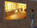 snapshot_9a250dd9_c2c3b65f
