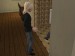 snapshot_fc15de12_bdcfa439