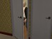 snapshot_fc15de12_3dcfaaf1
