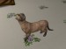 snapshot_9a519d2c_fe9a8bc1