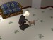 snapshot_9a519d2c_de9a8be3