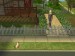 snapshot_9a250dd9_bebf9223