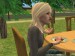 snapshot_9a250dd9_bef06893