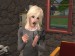 snapshot_9a250dd9_dfc228d6
