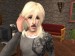 snapshot_bf2fa70d_c0d484c2
