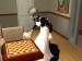 snapshot_80c0a134_80e6e81f
